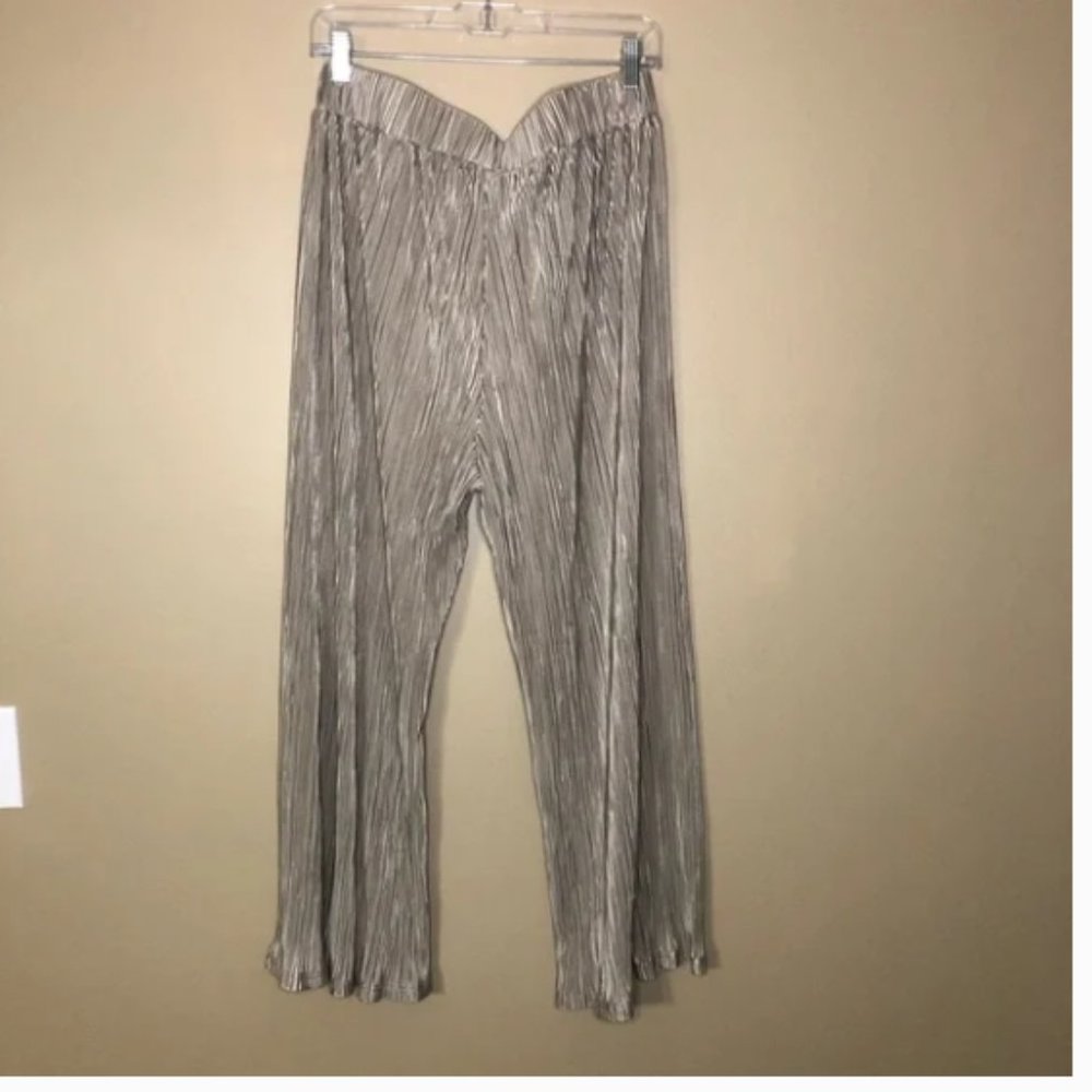 Anthropologie Dolan Pleated Pants in Taupe | Medium | Pleated Pants | Anthro - Picture 9 of 12